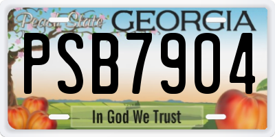 GA license plate PSB7904