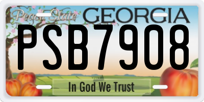 GA license plate PSB7908