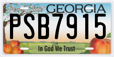 GA license plate PSB7915