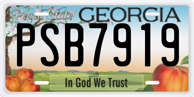 GA license plate PSB7919