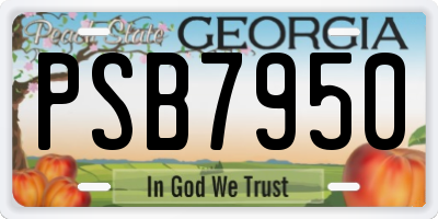 GA license plate PSB7950
