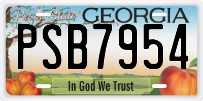 GA license plate PSB7954
