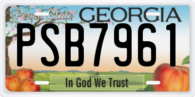 GA license plate PSB7961