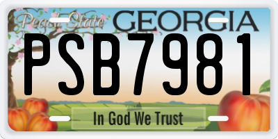 GA license plate PSB7981