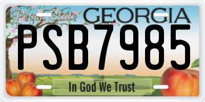 GA license plate PSB7985