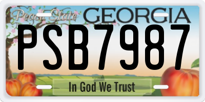 GA license plate PSB7987
