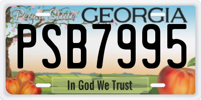 GA license plate PSB7995