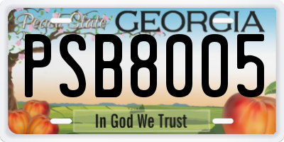 GA license plate PSB8005