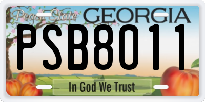 GA license plate PSB8011