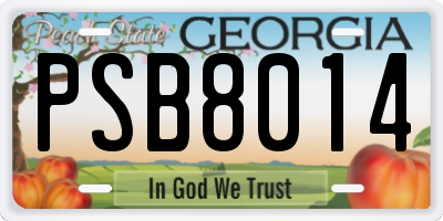 GA license plate PSB8014