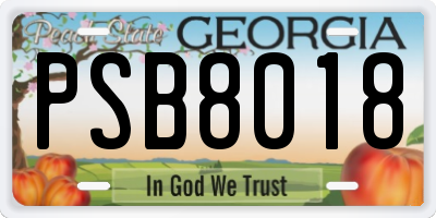 GA license plate PSB8018