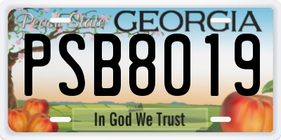 GA license plate PSB8019