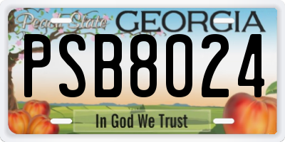 GA license plate PSB8024