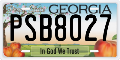 GA license plate PSB8027