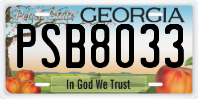 GA license plate PSB8033