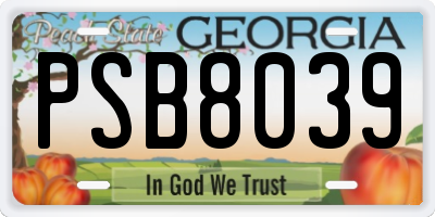 GA license plate PSB8039