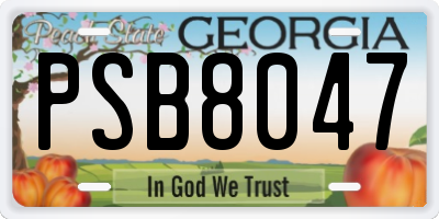GA license plate PSB8047