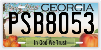 GA license plate PSB8053