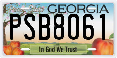 GA license plate PSB8061