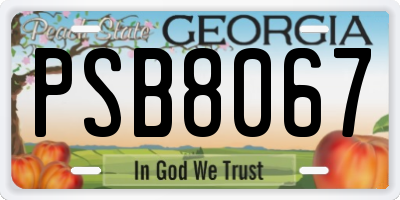 GA license plate PSB8067