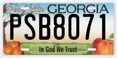 GA license plate PSB8071