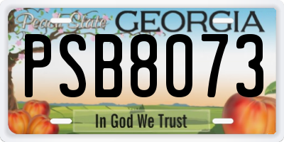 GA license plate PSB8073
