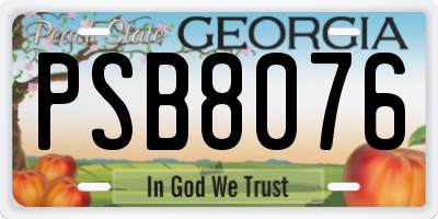 GA license plate PSB8076