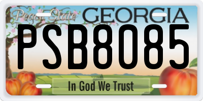 GA license plate PSB8085