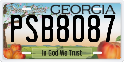 GA license plate PSB8087