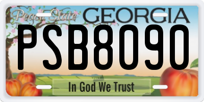 GA license plate PSB8090