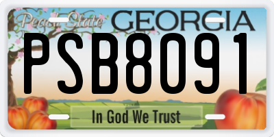 GA license plate PSB8091