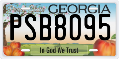 GA license plate PSB8095
