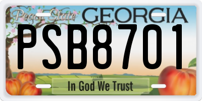 GA license plate PSB8701