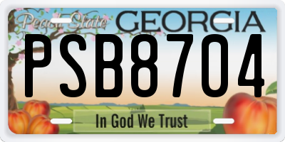 GA license plate PSB8704