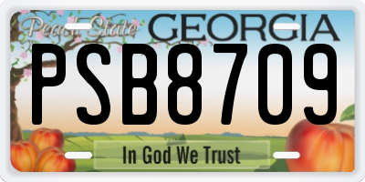 GA license plate PSB8709