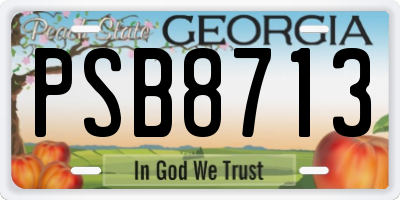 GA license plate PSB8713