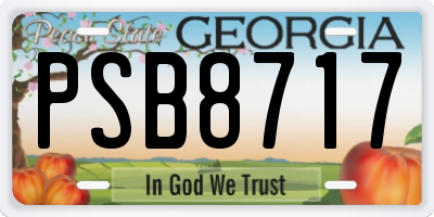 GA license plate PSB8717
