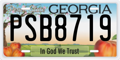 GA license plate PSB8719