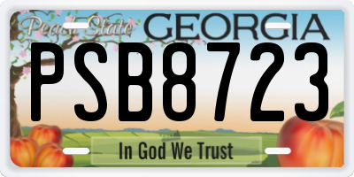GA license plate PSB8723