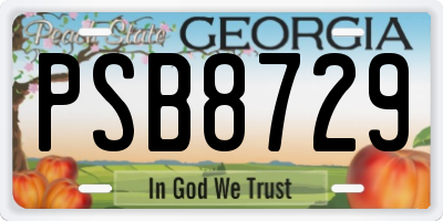 GA license plate PSB8729