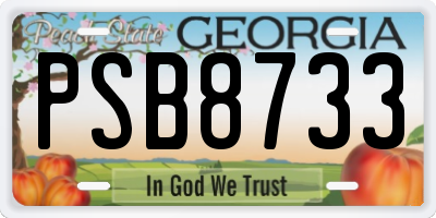 GA license plate PSB8733