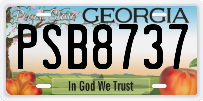 GA license plate PSB8737