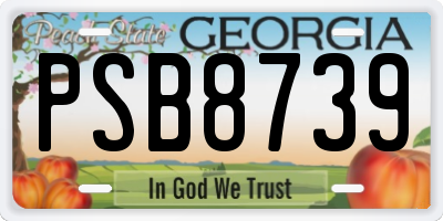 GA license plate PSB8739
