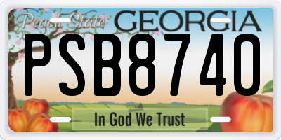 GA license plate PSB8740