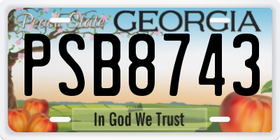 GA license plate PSB8743