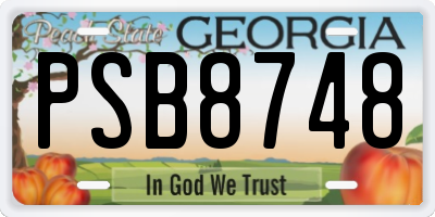 GA license plate PSB8748