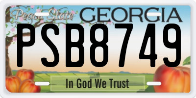 GA license plate PSB8749