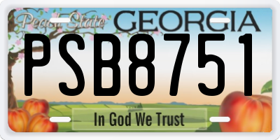GA license plate PSB8751