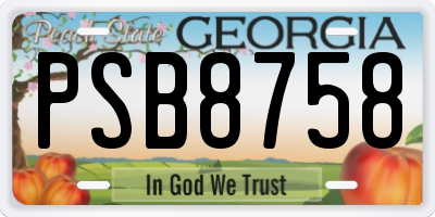 GA license plate PSB8758