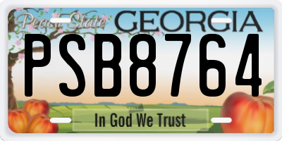 GA license plate PSB8764